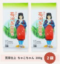 荒茶仕上 200g入り 2袋セット　ちゃこちゃん チャコちゃん 一番茶 煎茶 贈答用 静岡茶 菊川茶 深蒸し茶 緑茶 ギフト