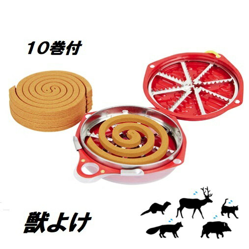 ޡٻʥѥӹᡡä褱ᡡ糧å10ѷڽýкۥȥ饷ʬ۹