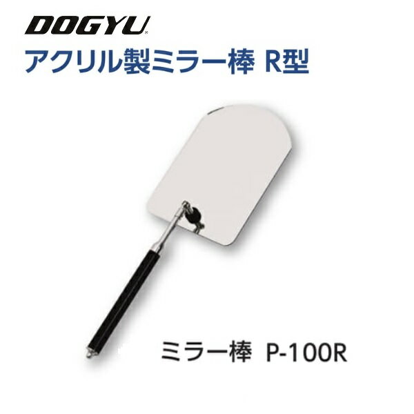 土牛　DOGYUアクリル製ミラー棒　R型P-100R　(02294)ミラー部（約）110×160mm　アクリルミラー収納～最..