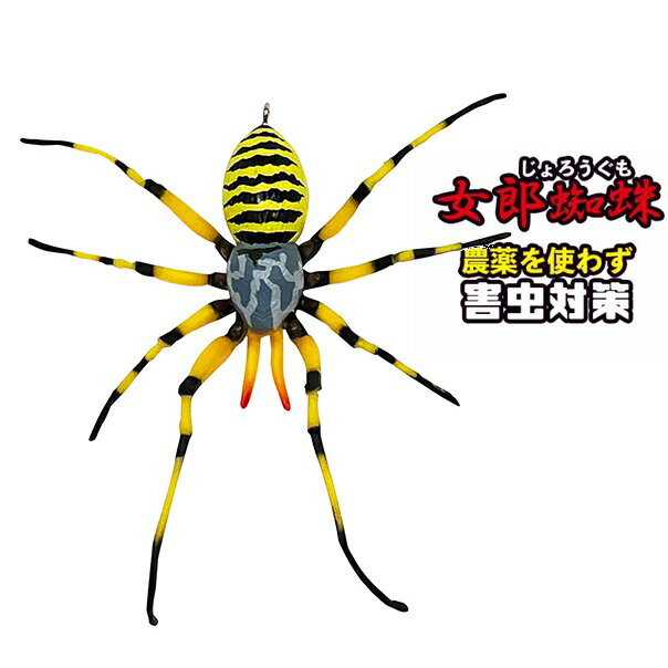 龍宝丸　除労蜘蛛　M-46　女郎蜘蛛（ジョロウグモ）害虫対策・カメムシ・蛾・アブラムシ・ブヨ