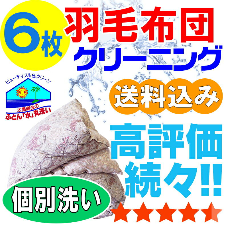 【布団クリーニング】布団クリーニング 羽毛布団 布団 クリーニング 羽毛 ふとん 丸洗い 個別洗い 6枚 宅配 宅配クリーニング