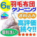 【布団クリーニング】布団クリーニング 羽毛布団 布団 クリーニング 羽毛 ふとん 丸洗い 個別洗い 6枚 宅配 宅配クリーニング