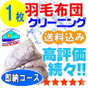 羽毛布団 クリーニング 布団クリーニング ダウン 布団 クリーニング 羽毛 ふとん 丸洗い 1枚 保管オプション追加可 宅配 宅配クリーニ..