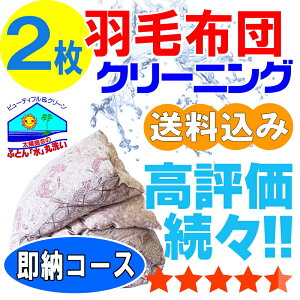 羽毛布団 クリーニング 布団クリーニング ダウン 布団 クリーニング 羽毛 ふとん 丸洗い 2枚 保管オプション追加可 宅配 宅配クリーニング