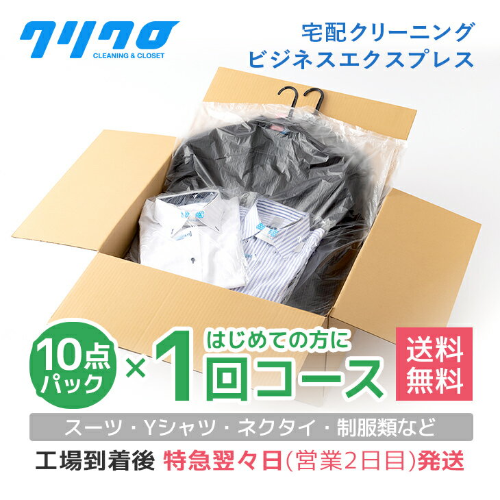 ӥͥץ쥹10ѥå1󥳡