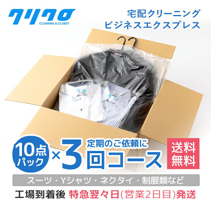 ӥͥץ쥹10ѥå3󥳡