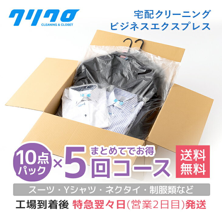 ӥͥץ쥹10ѥå5󥳡