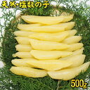 ＊10月より常温便 お徳用！カナダ産 天然塩数の子 大 500g きれいな1本羽 10月より常温便配送 店長精一杯価格にて