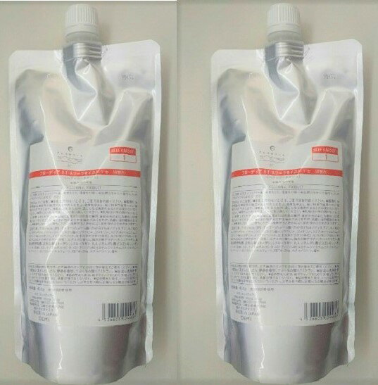 樂天商城 - 《セット・送料無料》デミ フローディア ST スリークモイスト 1 b 450g レフィル 2個セット