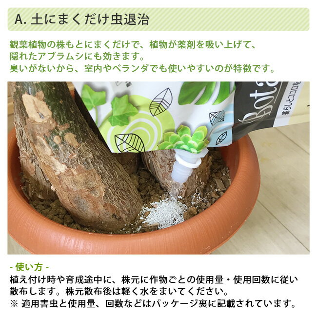 楽天市場 Botanice ボタナイス シリーズ ボタナイス 土にまくだけ虫退治 飛びまわるコバエ退治 土からわいたコバエ退治 観葉植物 アース製薬 パキラと観葉植物専門店 Marubun みんなのレビュー 口コミ