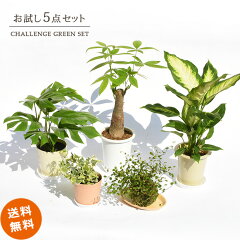 https://thumbnail.image.rakuten.co.jp/@0_mall/marubun-shop/cabinet/shohin/ota/5/image_01.jpg