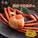【冷蔵】タグ付き 香住ガニ ボイル済 大サイズ 約700g×2杯|香住産 紅ズワイガニ ゆで蟹 かに 蟹 海鮮 ボイルガニ 鮮度抜群