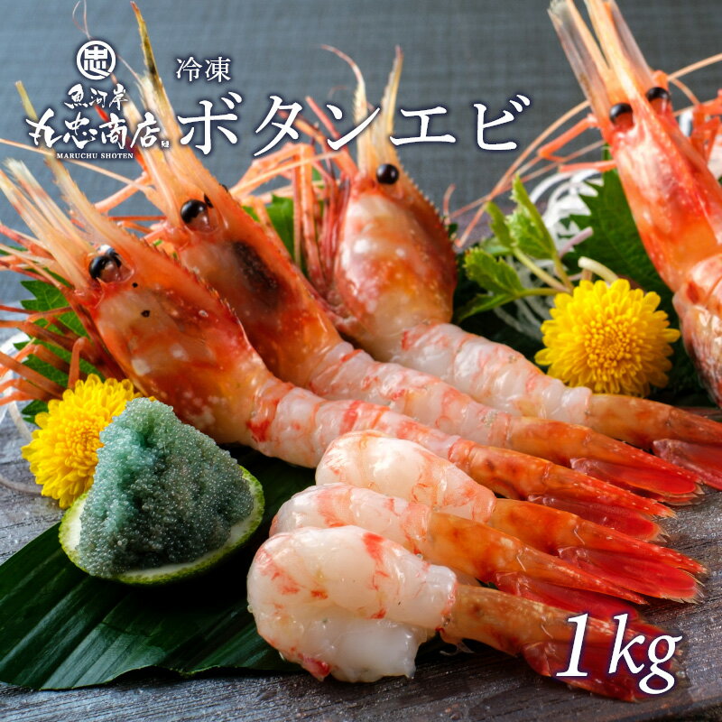 冷凍ボタンエビ 1kg(500g×2パック) 海老 えび 刺身 オードブル 贈答用 ごちそう お祝い 食べ物 グルメ お取り寄せ