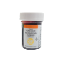 【着色料】ウィルトン アイシングカラーオレンジ 28g