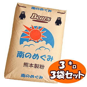 南のめぐみ(九州産強力粉) 3kg×3袋セット