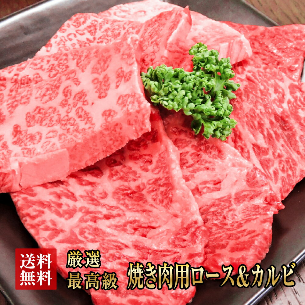 阿波黒牛　極旨　カルピ　ロース　セット　500g（約250g×2）【送料無料】大人気丸長特製タレ付き♪ギフトに高級焼肉を！【牛肉　焼肉　カルビ　ロース　ギフト　お中元　お歳暮　バーベキュウ　牛肉　セット】