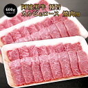 ★【 阿波黒牛 極旨 牛肉 カルビ & ロース セット 600g(約200g×3P)大人気 丸長 特製 タレ 付き♪】送料無料 牛肉 焼肉 カルビ バラ ロース...