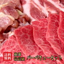 【送料無料】バーべキューセット　5人用7800円（1.5kg）阿波黒牛500g国産豚5バラ500g国産鶏モモ500g美味しい焼肉をみんなで食べよう！（ギフト対応不可商品）【牛肉 焼肉　バーベキュウ】