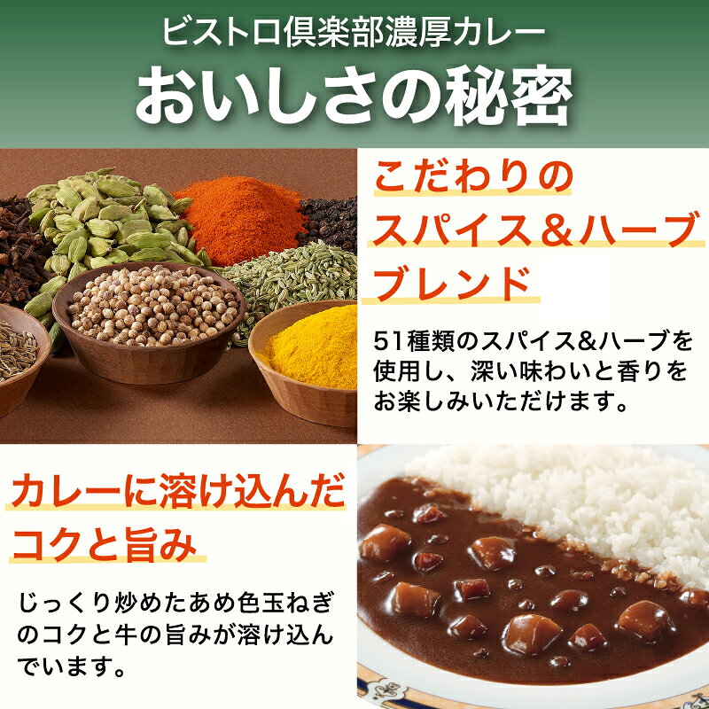 カレー レトルト 丸大食品 ビストロ倶楽部 【48食セット 甘口 中辛 辛口 】 即席 常温保存 長期保存 日持ち 濃厚 ビーフ 野菜 常備食 災害 大人 子供 キャンプ marudaifood-10000000 丸大食品公式 サンプル画像2