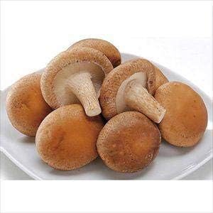 徳島県産 菌床生しいたけ 約100g(15個前後)