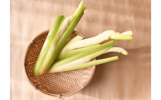 【愛媛県産/産地直送】マコモタケ 皮むき 約1kg （12本前後）新鮮出荷 マコモ茸 野菜 国産 まこもだけ ..