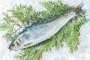 北海道 函館産 冷蔵 ニシン にしん 丸ごと 処理なし 1尾約400g前後