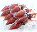 ホタルイカ 春の新物 蛍烏賊 ボイルホタルイカ 富山湾産約300g 冷蔵 釜揚ホタルイカ (1パック約300g)(4)