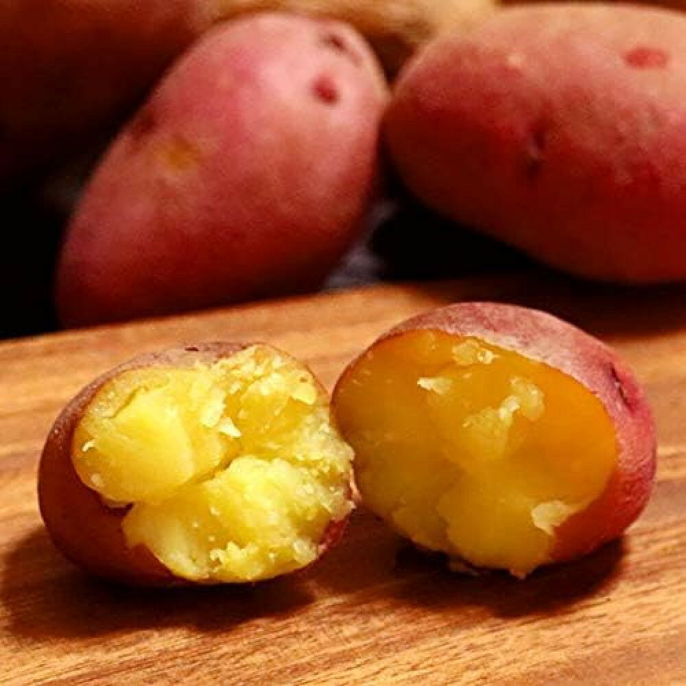 北海道の大地で育った「レッドムーン」は、赤い皮とクリーム色の果肉が印象的なジャガイモです。栗のような甘みがあり、ホクホクとした食感を楽しめます。煮崩れしにくいため、肉じゃがやカレー、シチューなどの煮込み料理にも向いています。訳あり10kgは、小ぶりなSS・Sサイズやキズ、変形を含むため、見た目よりも味や使い勝手を重視したい方におすすめ。皮をむかずに薄切りして素揚げにすると、甘みが引き立ちます。蒸してバターをのせたり、マッシュポテトやポタージュにしたり、コロッケやフライドポテトにもぴったり。小ぶりなものは丸ごと蒸し煮にして、サラダやお弁当の隙間おかずにも便利です。寒い季節の常備菜、家族の食卓、大量消費したいとき、スープや煮物の作り置きなど幅広く活躍します。レッドムーンは加熱後も赤い皮の色が残りやすく、食卓に彩りを添えます。定番のポテトサラダや味噌汁の具、炒め物にも使いやすいです。収穫の恵みを日々の料理に取り入れて、ほくほく甘い北海道の味をお楽しみください。