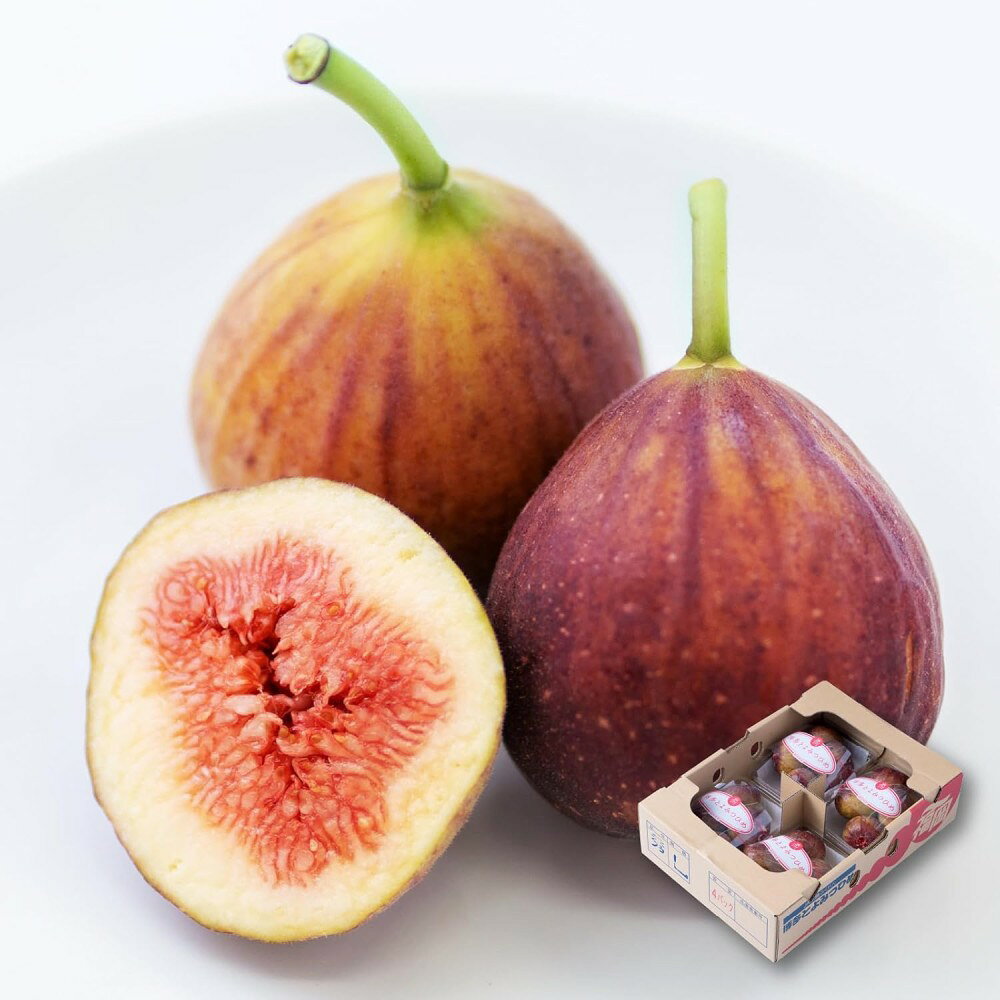 福岡県 南国フルーツ いちじく とよみつひめ 約300g×4パック