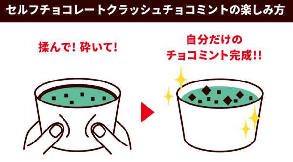 赤城乳業 日本初自分で砕く!! チョコミント ...の紹介画像3