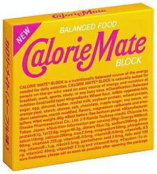 大塚製薬 カロリーメイト ブロック メープル 4本×30個