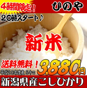 新米！【平成20年産】新潟県産こしひかり　5kgのサムネイル