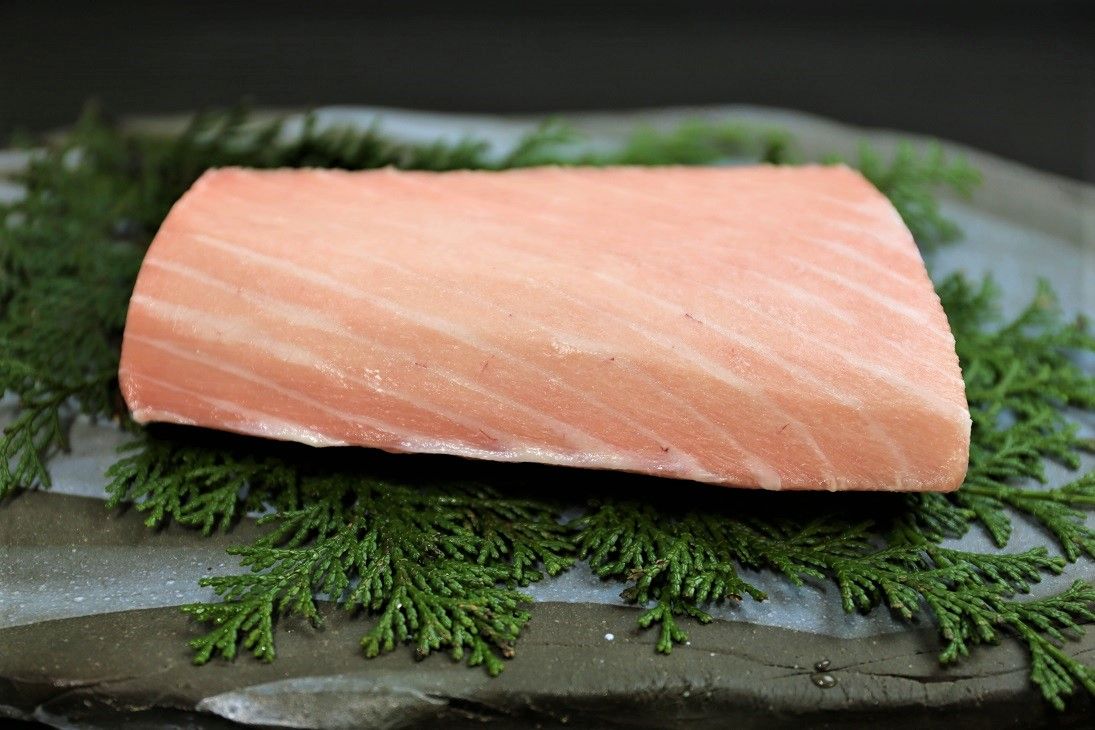 三崎港産直送 天然メバチマグロ 中トロサク, 冷凍, 訳あり,不揃い