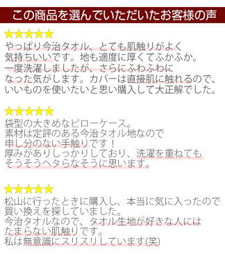 今治タオル 枕カバー ピローケース ideeZora イデゾラ ナチュラルタイム パイル ピロケース 45×90cm 綿100% 無地 今治タオル地 パイル おしゃれ 国産 今治製 日本製 快適睡眠 イデアゾラ お中元 誕生日 ギフト 今治浴巾 おしゃれ ブランド