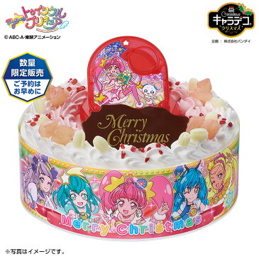 クリスマスケーキ　バンダイキャラデコクリスマススタートゥインクルプリキュア(240_X)