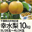 千葉県白井地区産幸水梨10kg5Lサイズ/20玉〜4Lサイズ...