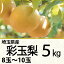 (銀行振込決済受付終了)埼玉県産彩玉梨5kg5Lサイズ/8玉〜4Lサイズ/10玉(220_18梨)