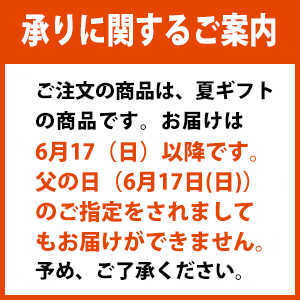 ハーゲンダッツミニカップ9個セットHD-M9（240_18夏）お中元　御中元　ギフト　アイス