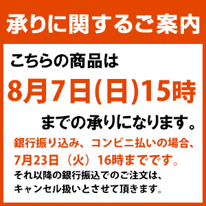 お中元 御中元 ギフト 鮭 しゃけ北海道加工熟成塩紅鮭姿切身(中辛口)(230_19夏)