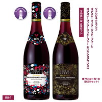 ボジョレーヌーボー　ボジョレーヴィラージュヌーヴォー　750ml+ボジョレーヴィラージュヌーヴォー　セレクションプリュス　750ml　（計2本セット）BS-1（250_21B）