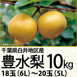 千葉県産白井地区産豊水梨10kg18玉（6L)〜20玉（5L)（220_梨23）