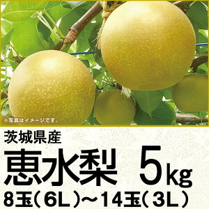【茨城の梨】茨城県産の美味しい梨をお取り寄せしたいです。おすすめは？