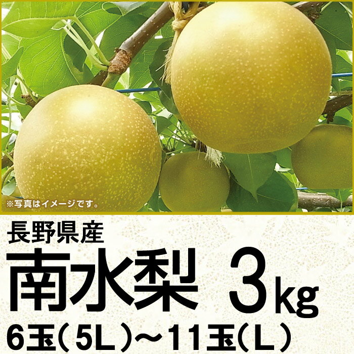 長野県産南水梨3kg6玉（5L）〜10玉（2L）（220_梨23）