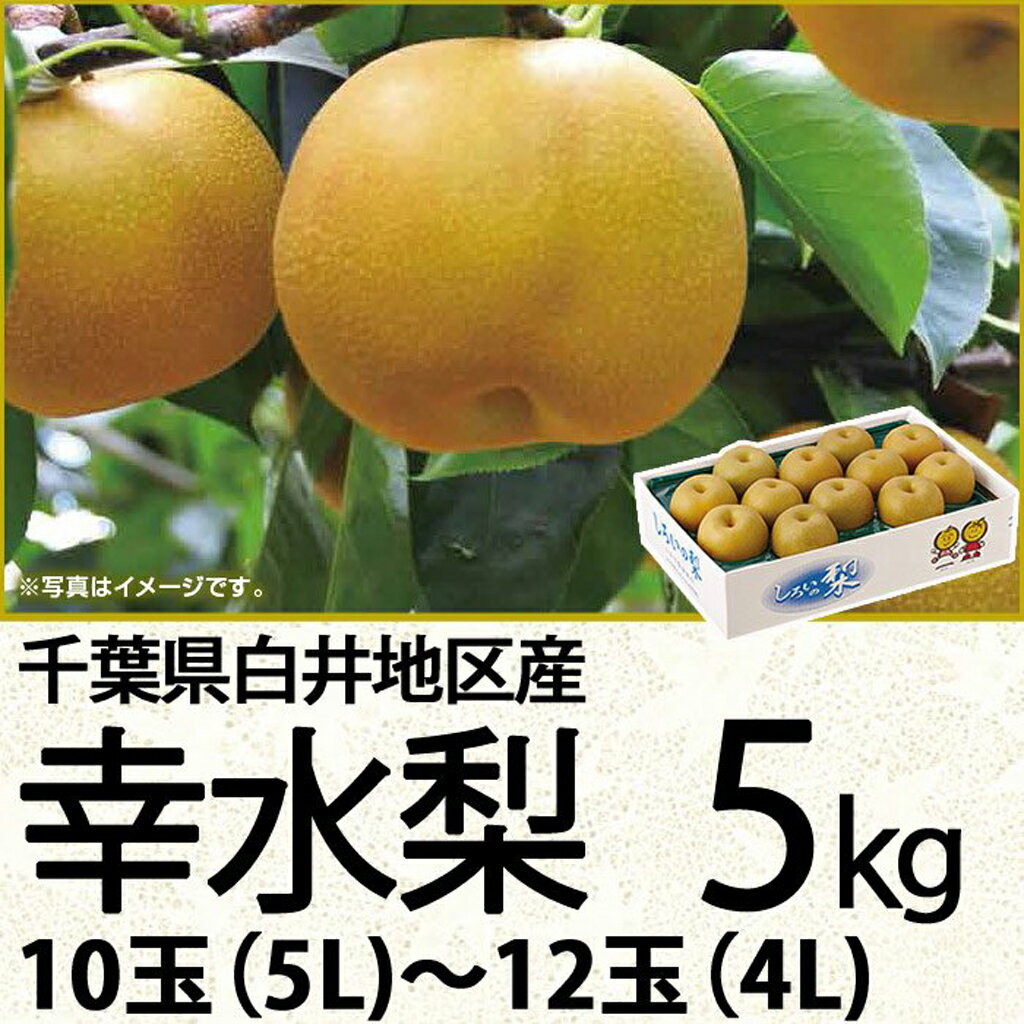 千葉県産白井地区産幸水梨5kg10玉（5L）〜12玉（4L）（220_梨23）のサムネイル