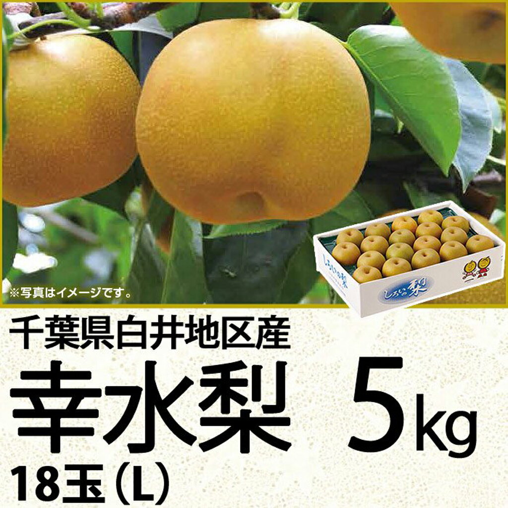 千葉県産白井地区産幸水梨5kgL18玉（220_梨24）のサムネイル