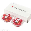 ギフト 産直 新鮮 山形県産(JAてんどう)さくらんぼ(やまがた紅王)100g×2パック (旬25ー220)