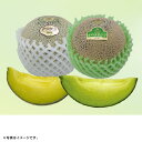 ギフト 産直 新鮮茨城県産(JAほこた)アンデスメロン・イバラキングメロン(旬25-220)