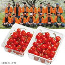 ギフト 産直 新鮮山形県産(JAてんどう)生産者限定さくらんぼ(佐藤錦)(旬25-220)