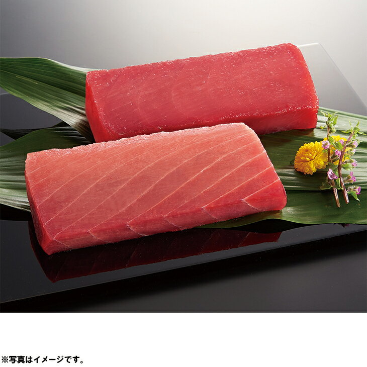 父の日三崎の鮪(中トロ・赤身セット)(父25-230)