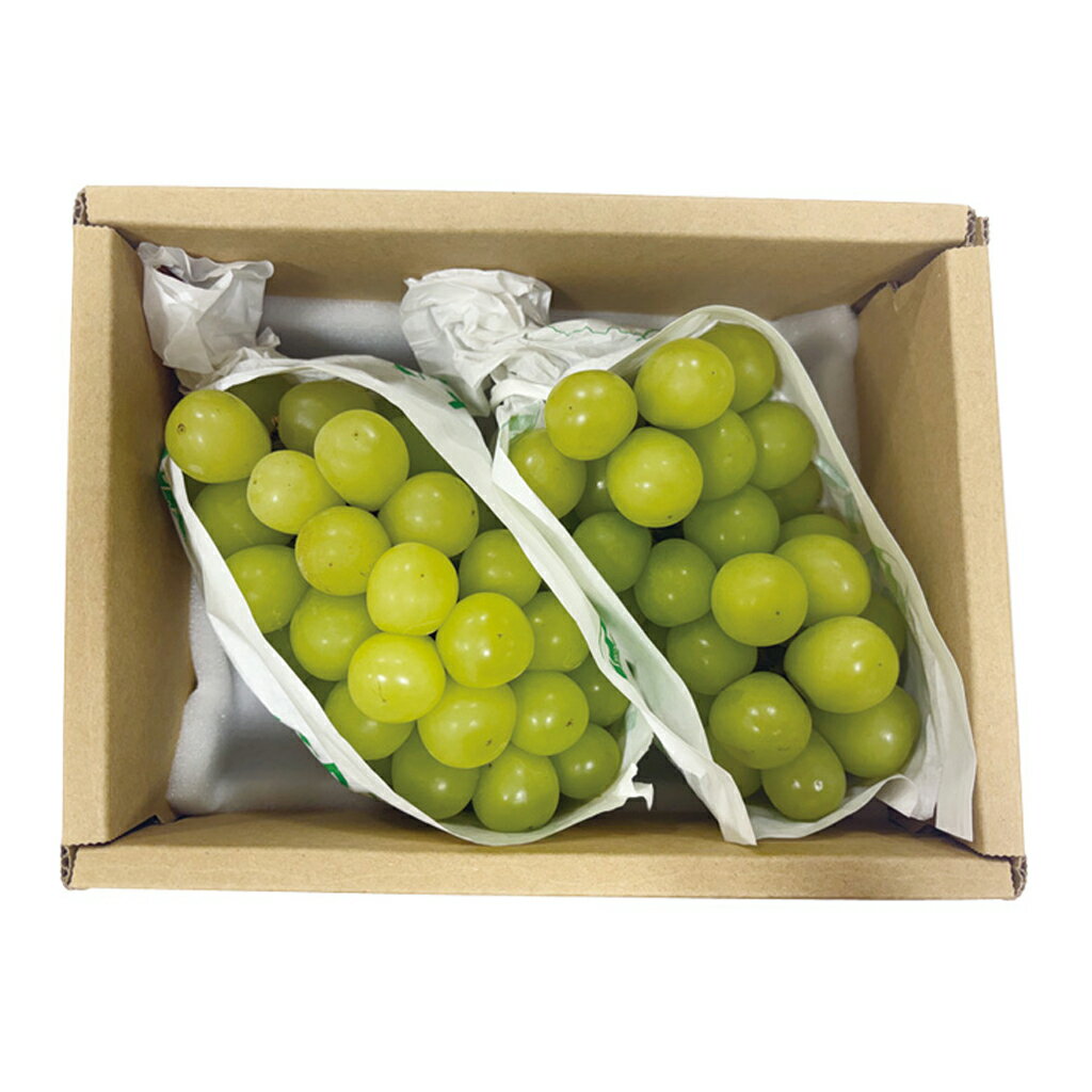 Rakuten - ぶどう　葡萄　山梨県産（JAふえふき）シャインマスカット2房2房（1kg）（220_梨23）